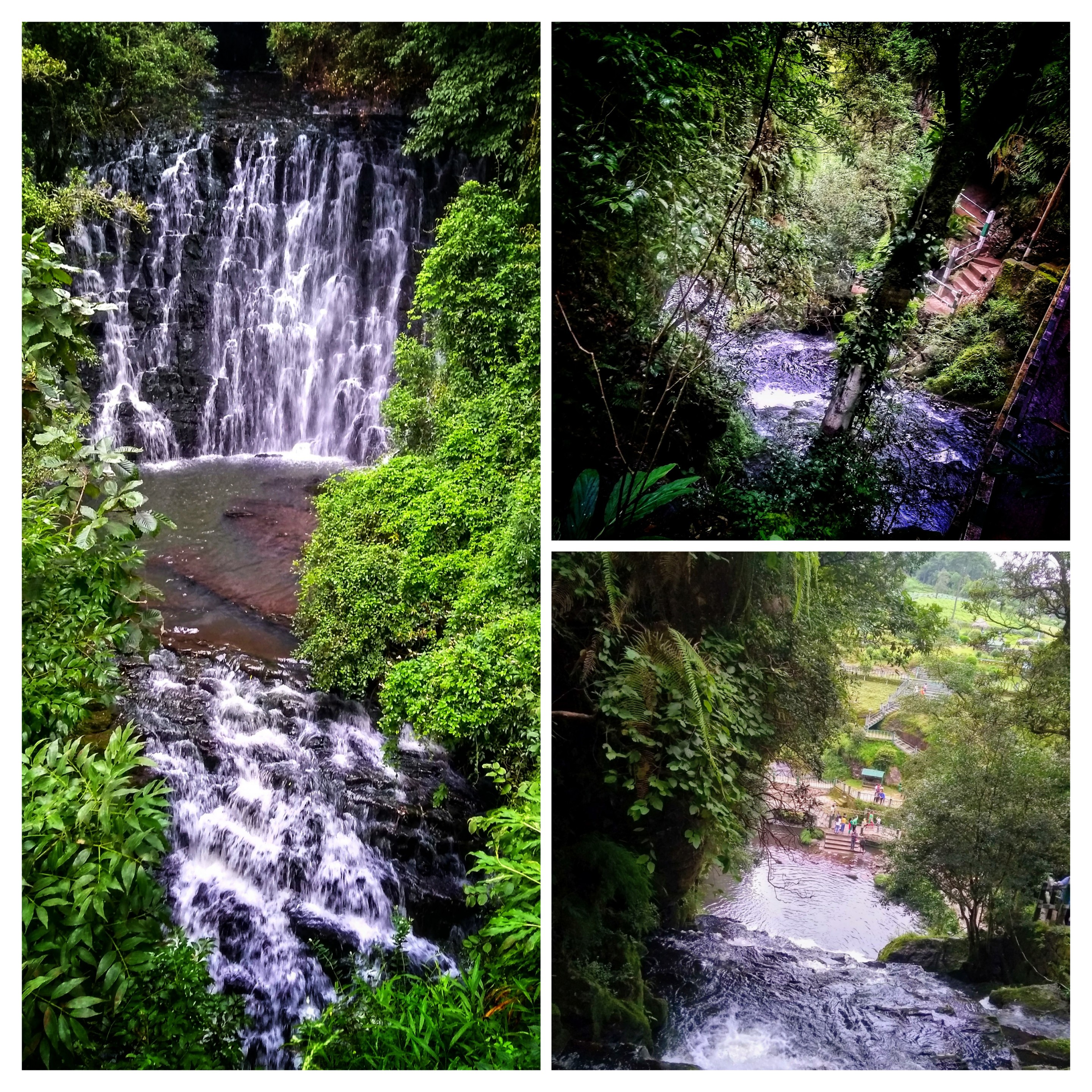 A powerful, layered waterfall surrounded by dense green jungle foliage